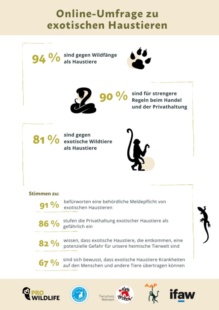 Eine aktuelle Online-Umfrage mehrerer Tier- und Artenschutzorganisationen zeigt, dass die Haltung von exotischen Wildtieren im heimischen Wohnzimmer von einer Mehrheit der Deutschen abgelehnt wird.