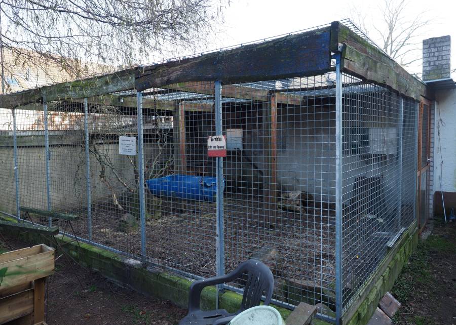 In dieser schäbige Behausung musste der Japanmakake Kawaii jahrelang als Haustier leben.