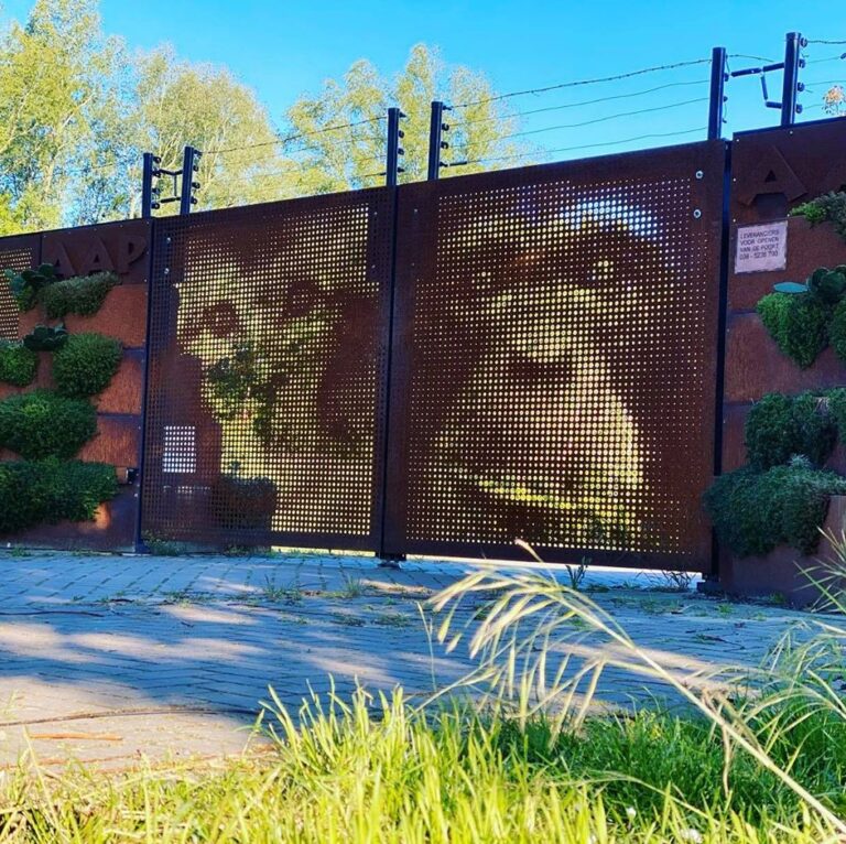 Erik Peters bleibt Geschäftsführer bei AAP.